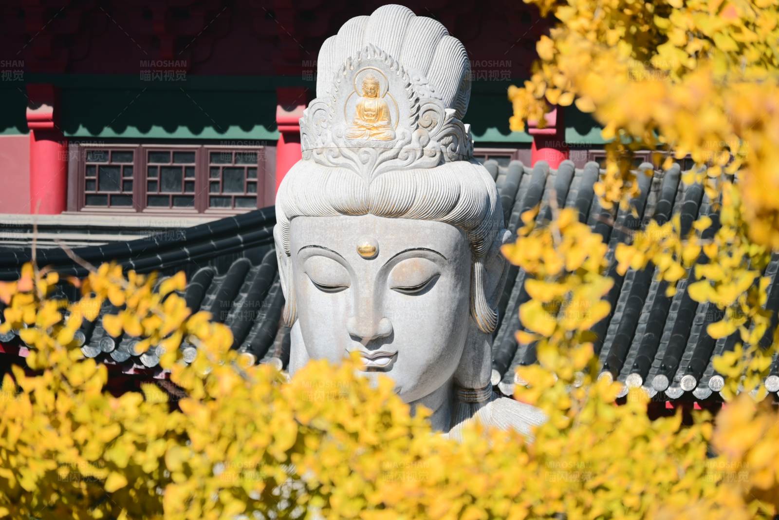 秋葉中的佛像