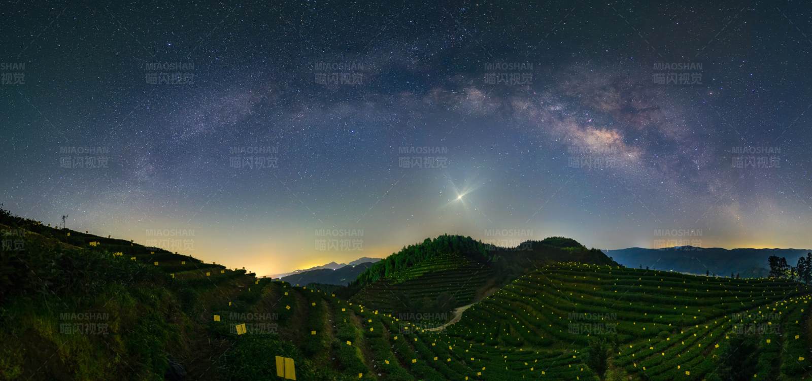 銀河下的茶園夜景