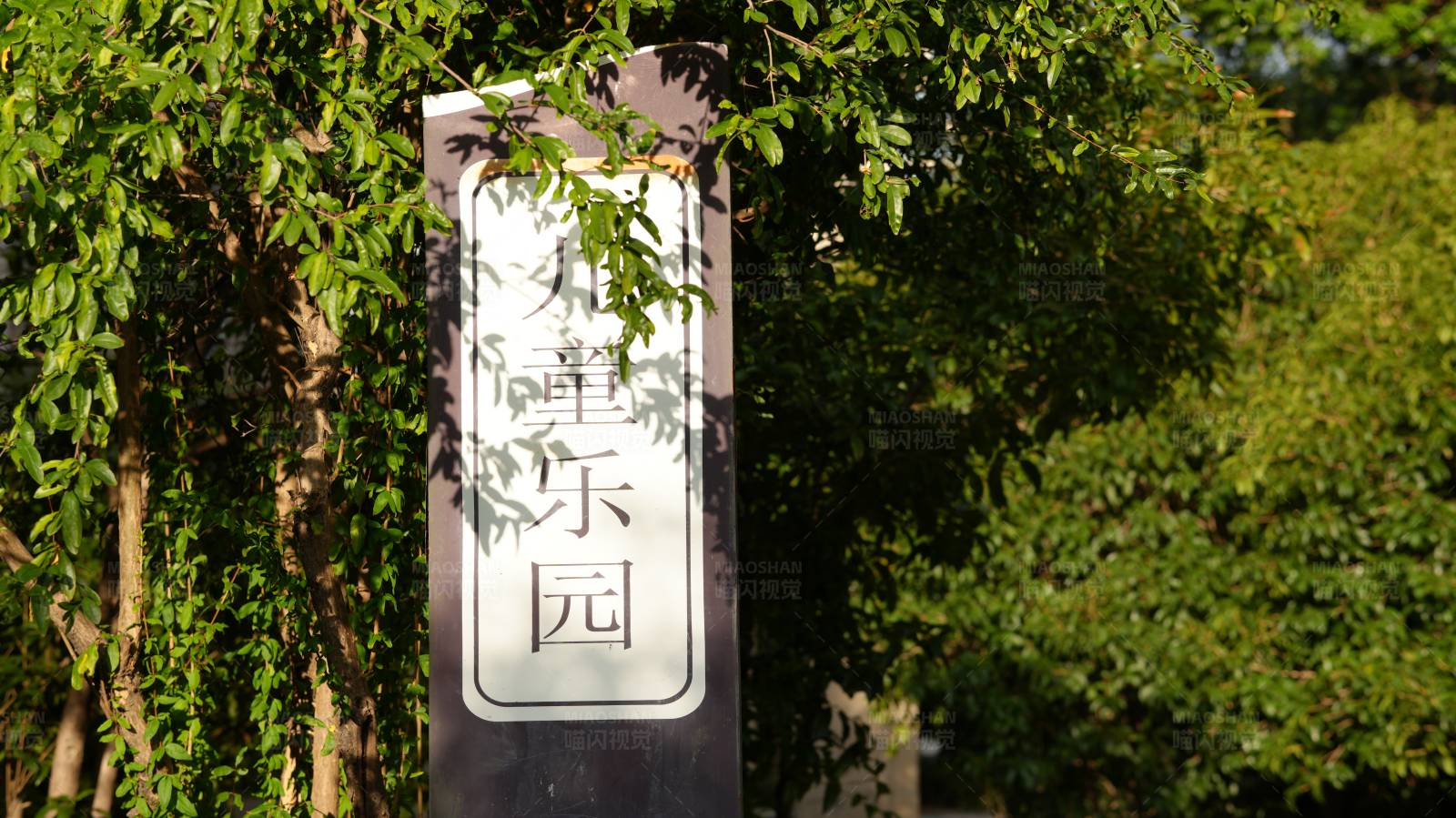 陽光下的中文標識