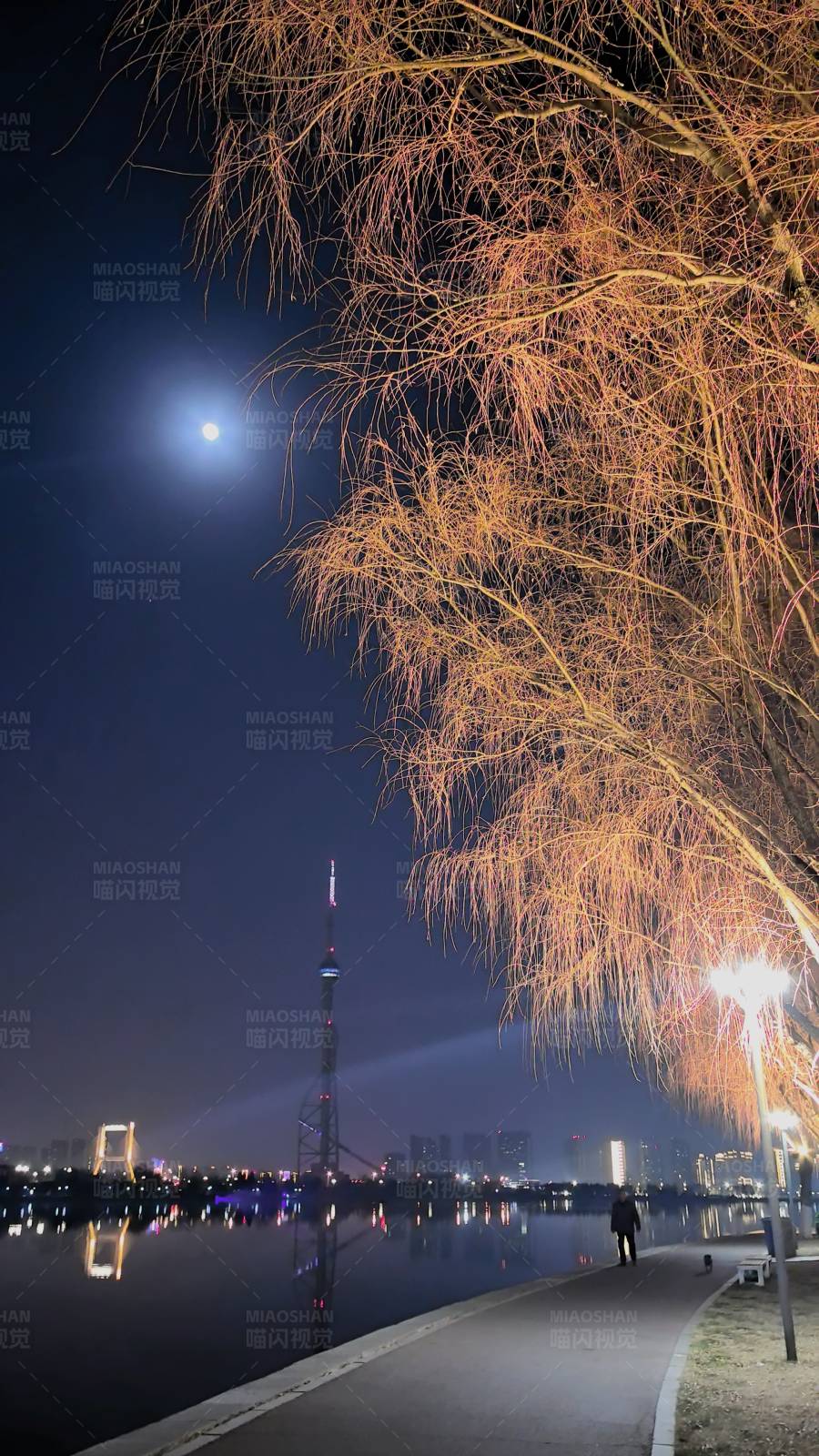 夜色湖畔
