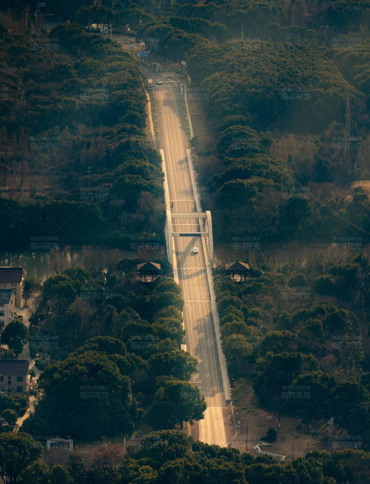 山間公路穿越森林