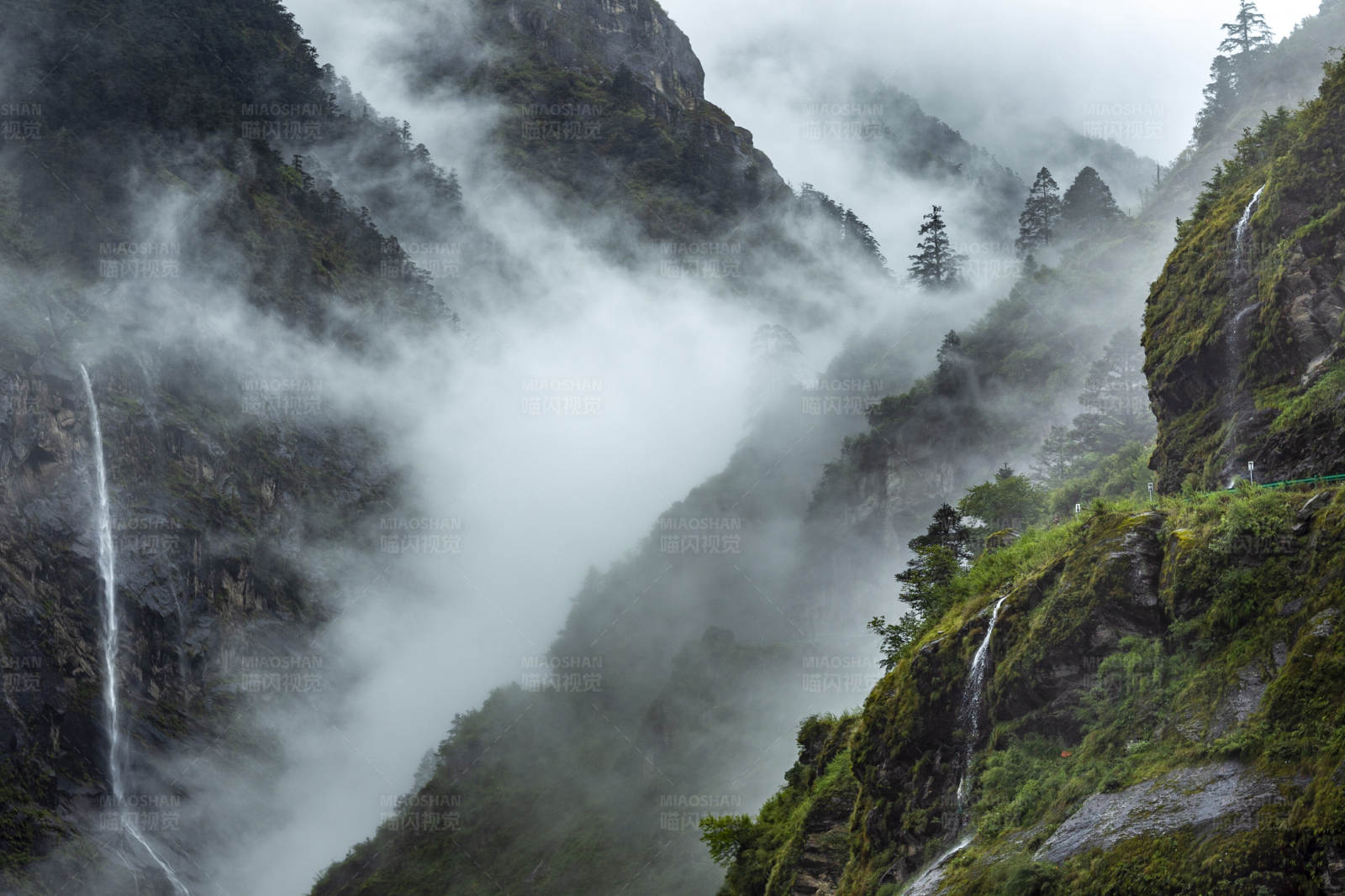 霧繞山間 瀑布飛流 (新疆樟木)