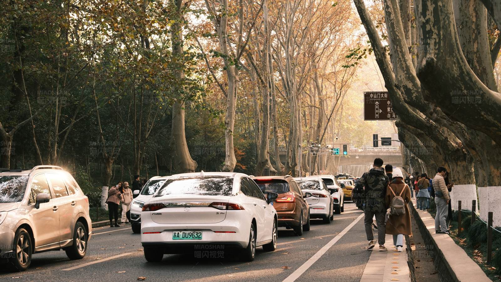 城市林蔭道上的繁忙交通