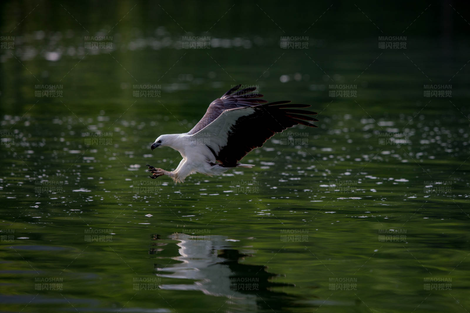 鷹擊長(zhǎng)空