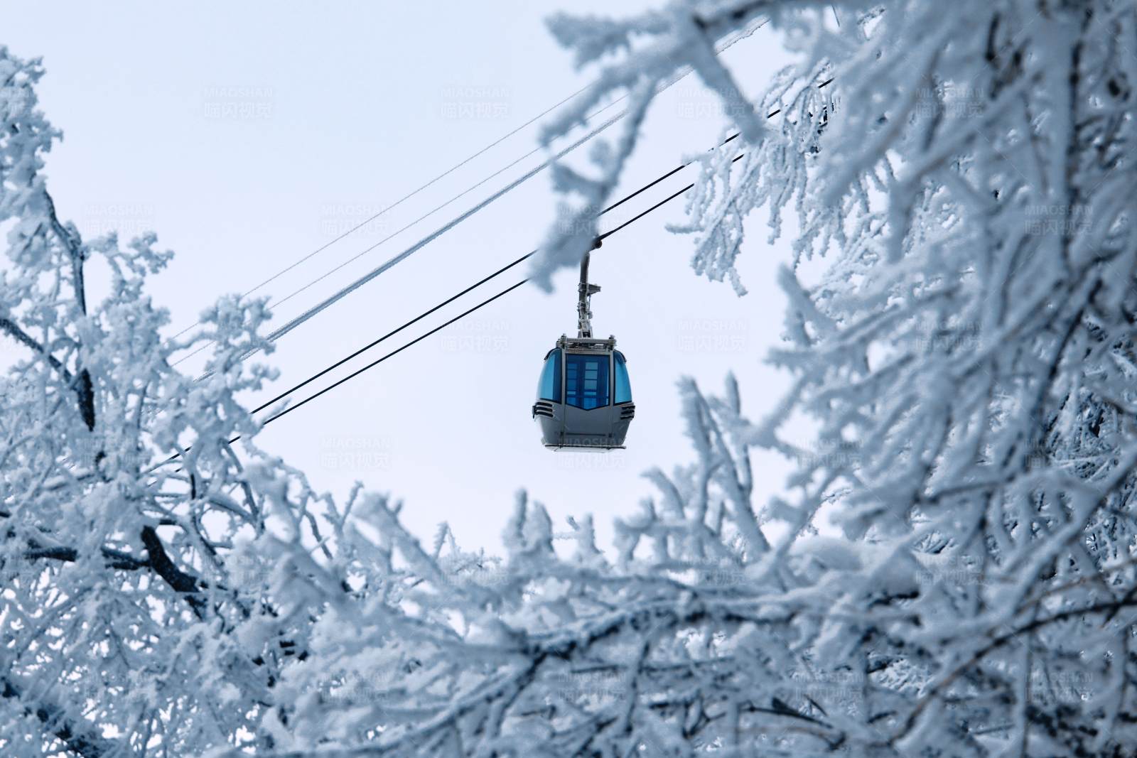 雪中纜車
