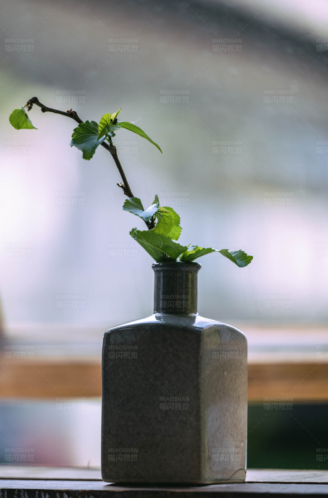 瓶中綠意