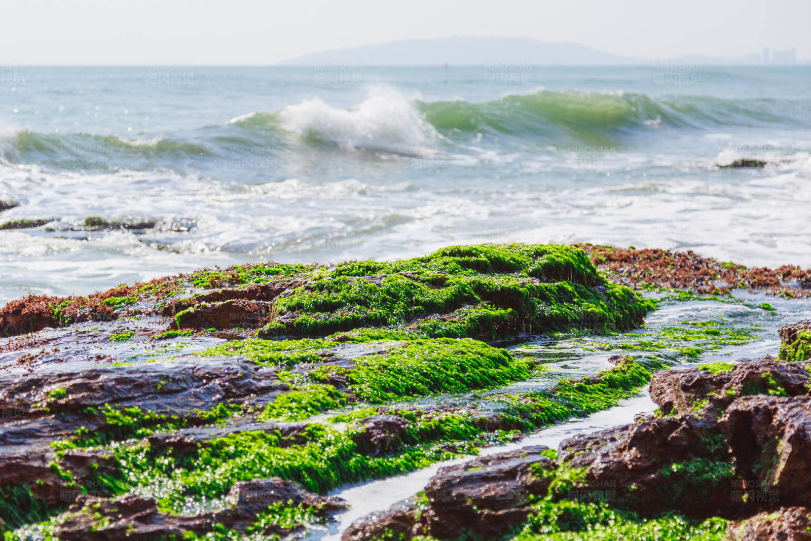 海浪拍打青苔巖石