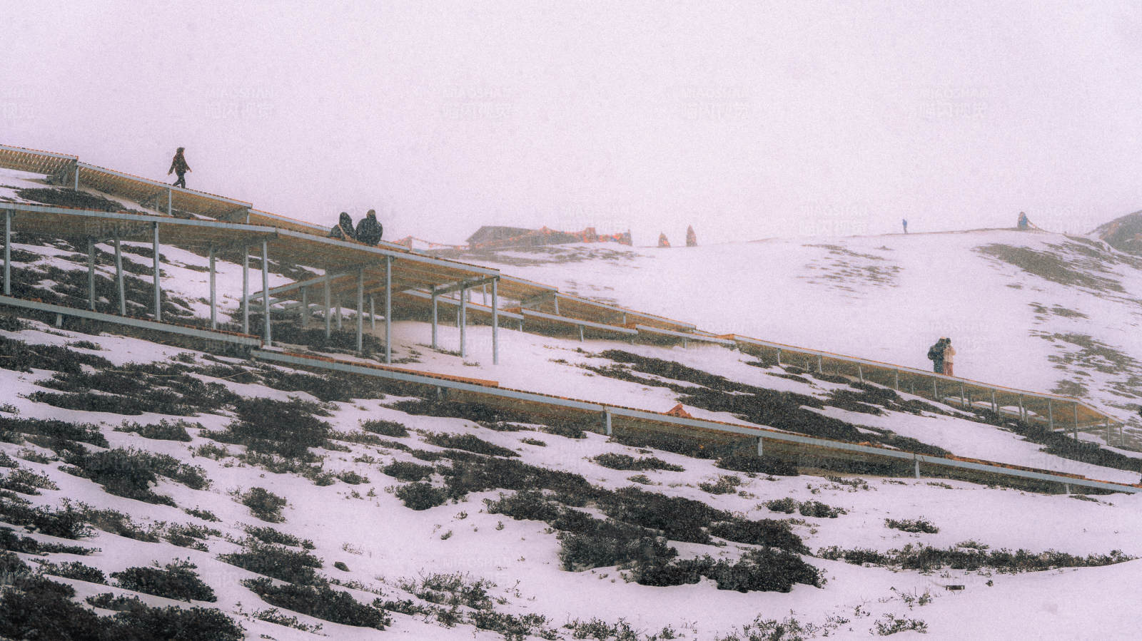 雪中漫步