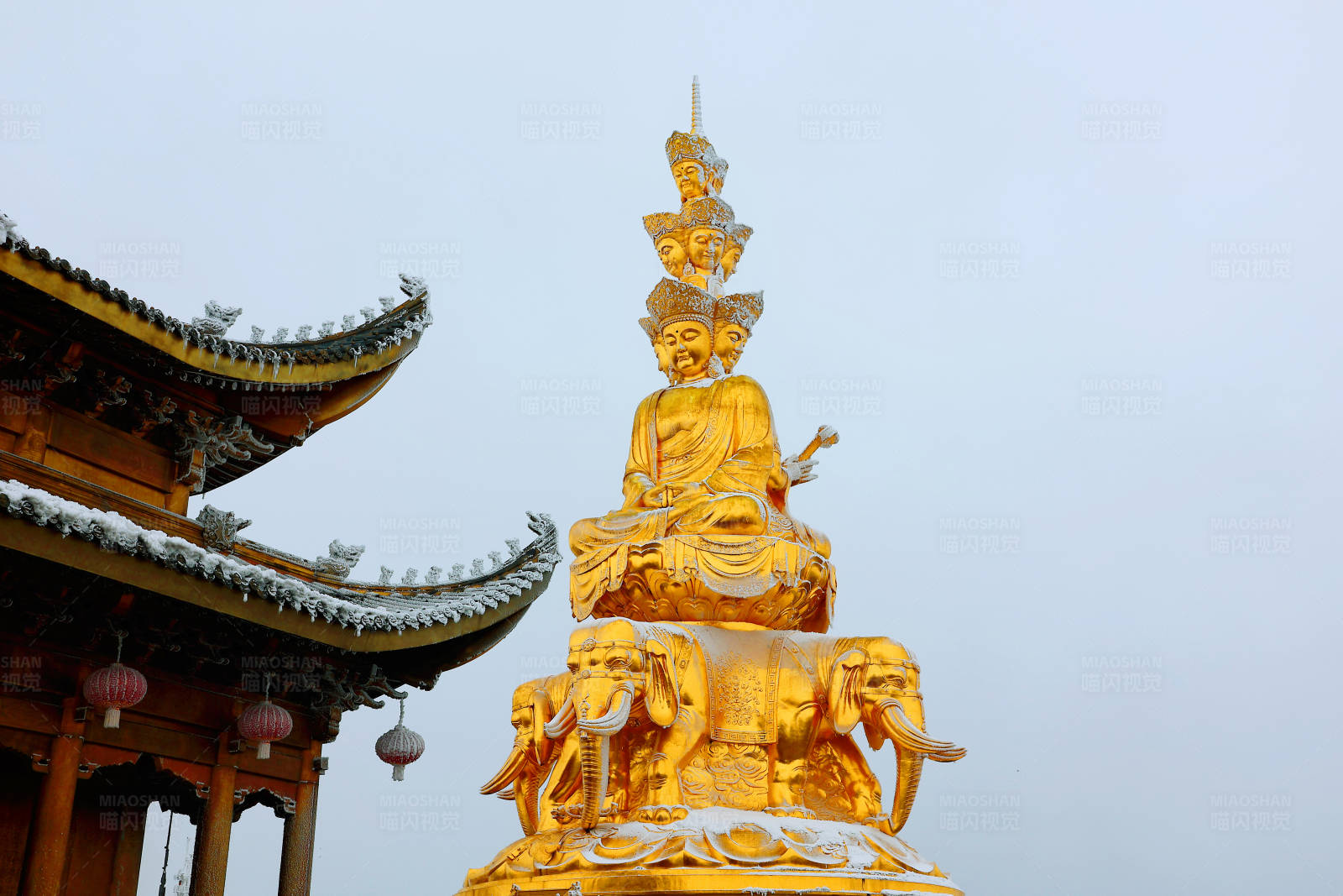 金佛雕像與古建筑