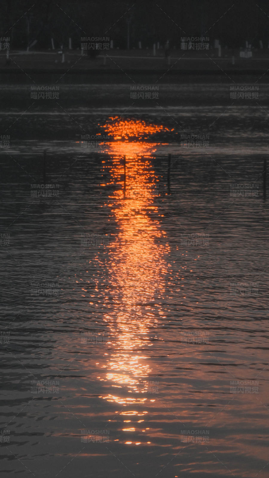夕陽映水 光輝灑落