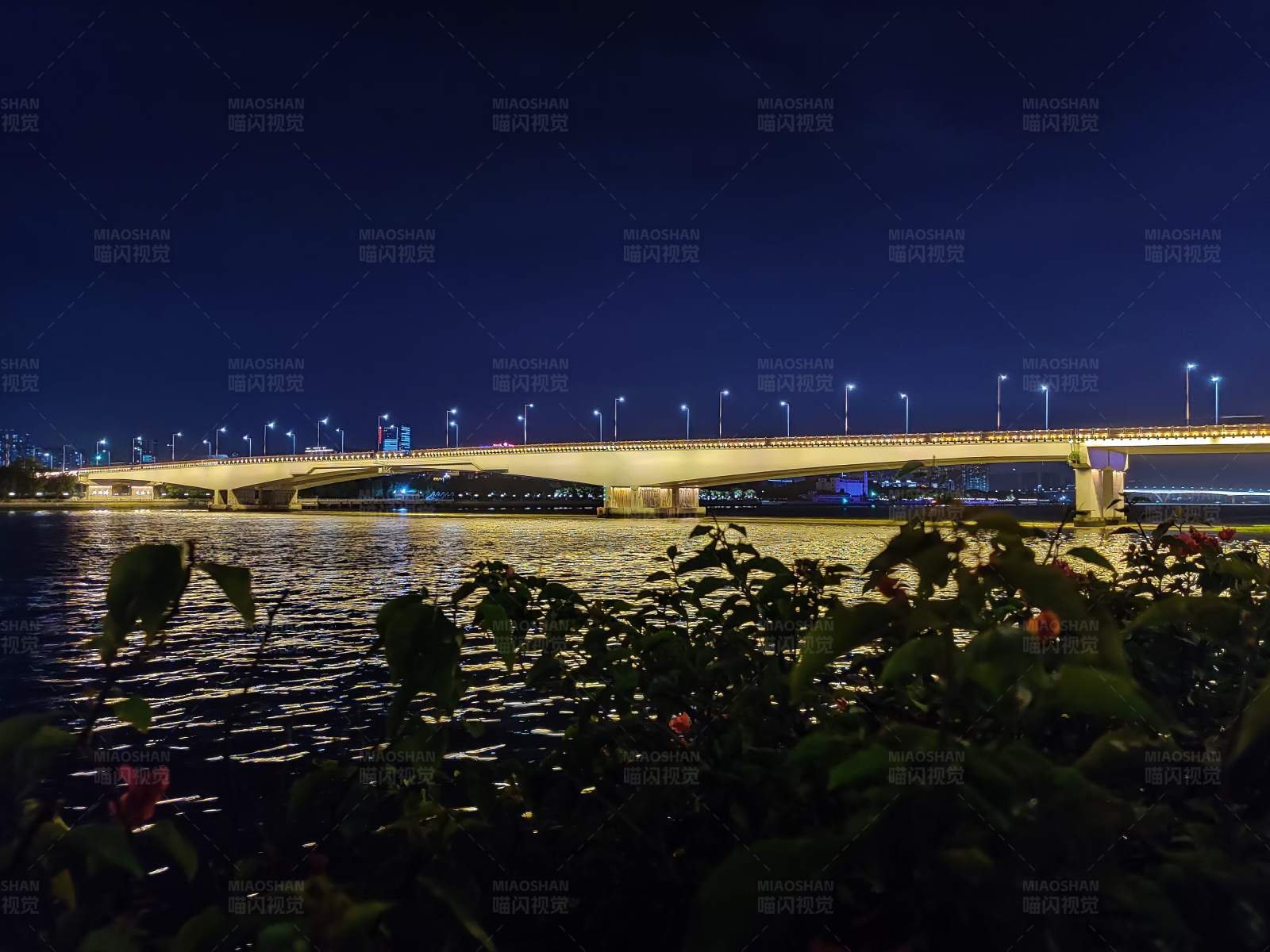 夜色下的橋梁與河岸