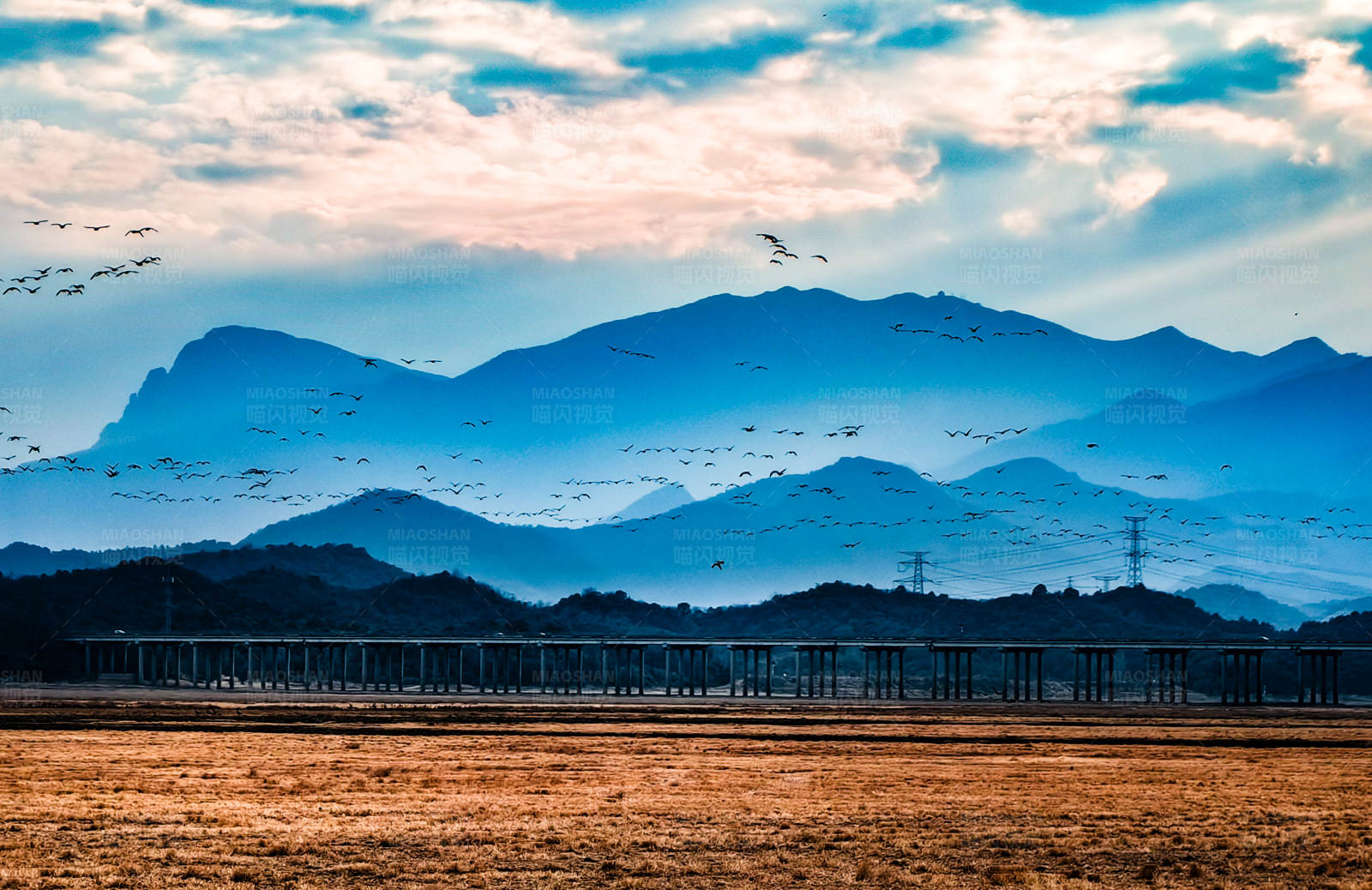山河鳥飛