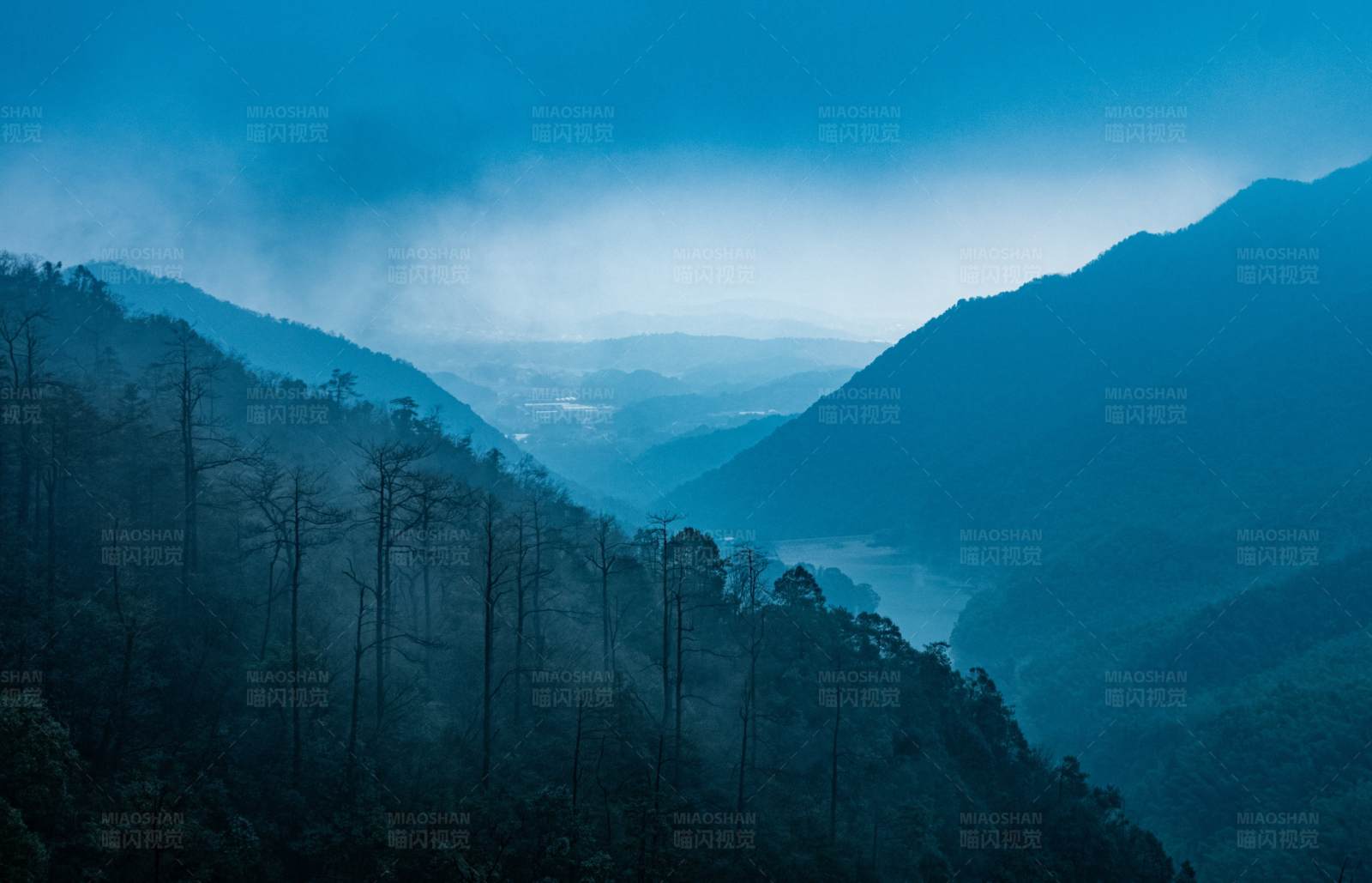 藍山霧林