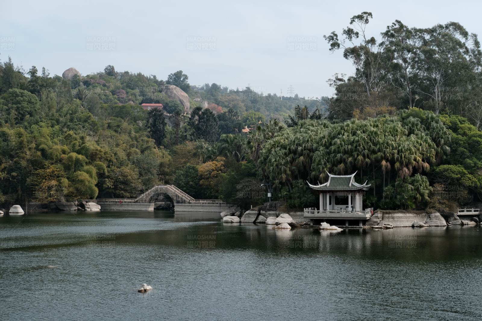廈門植物園 湖畔涼亭與拱橋