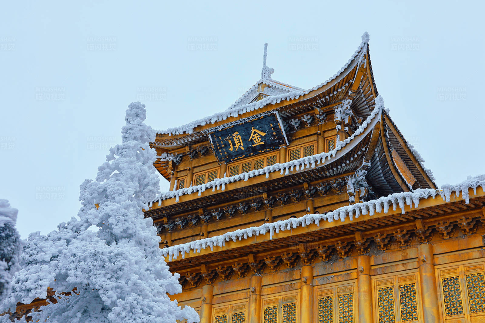 雪中的金色寺廟金頂