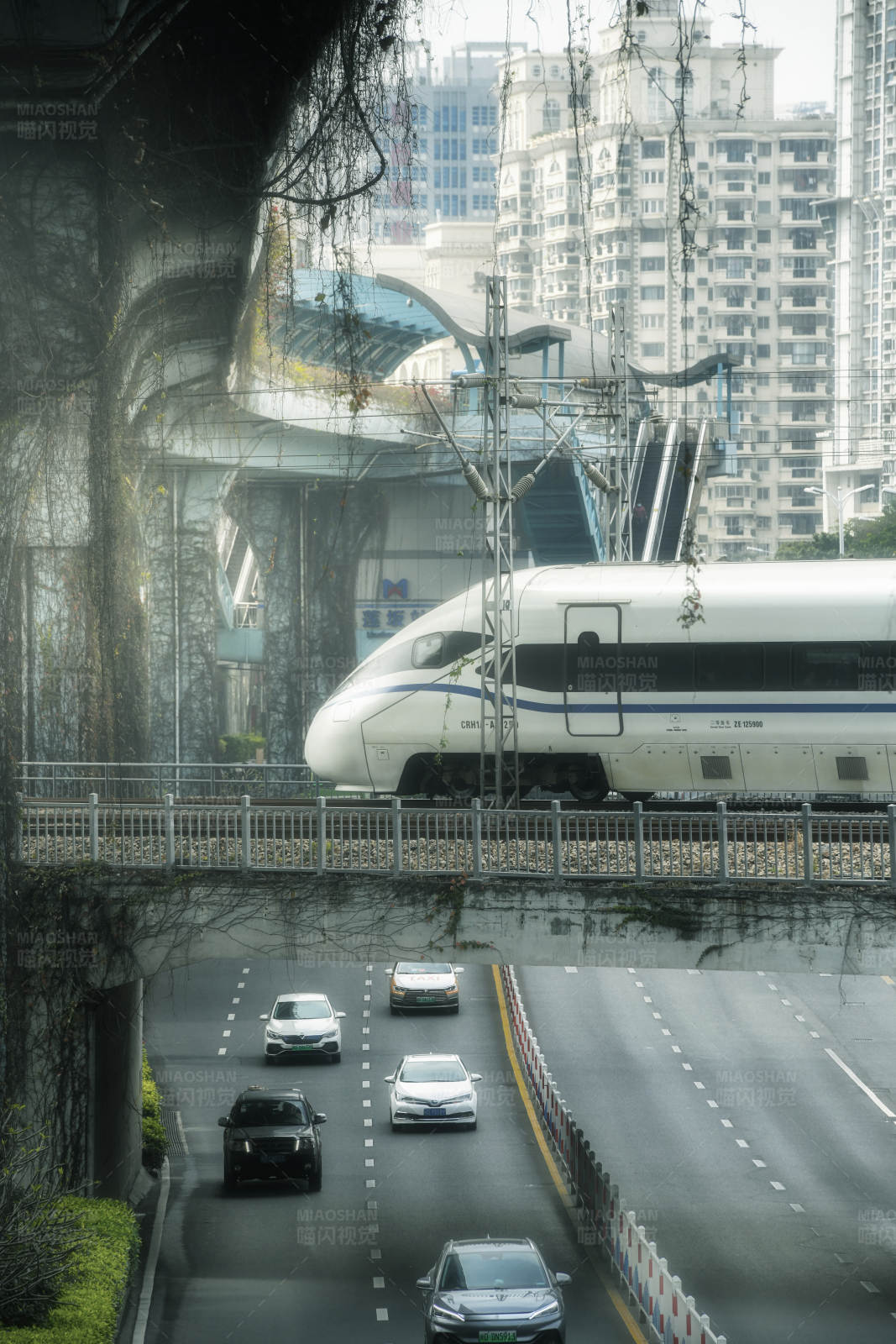 城市高架上的高速列車