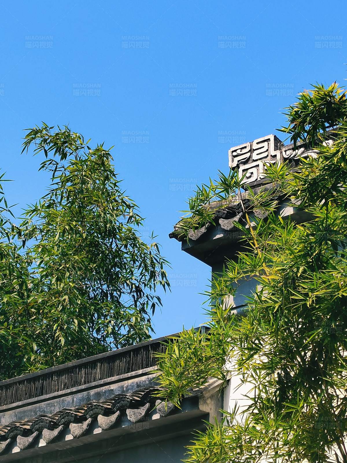 竹影婆娑古建筑