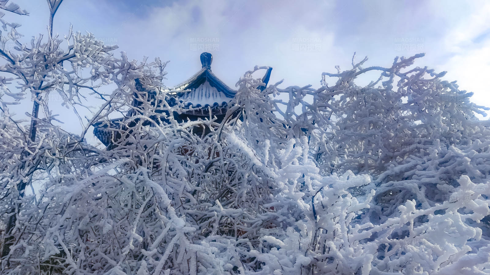 雪中古塔