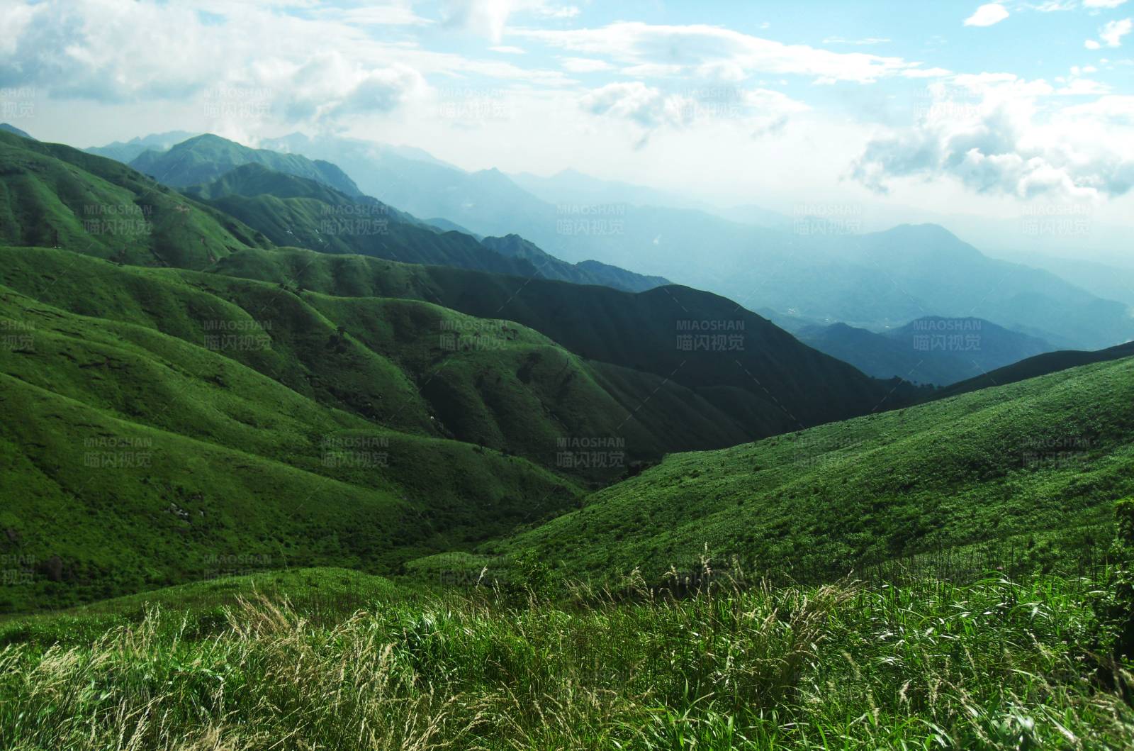 青山綠水 自然風光
