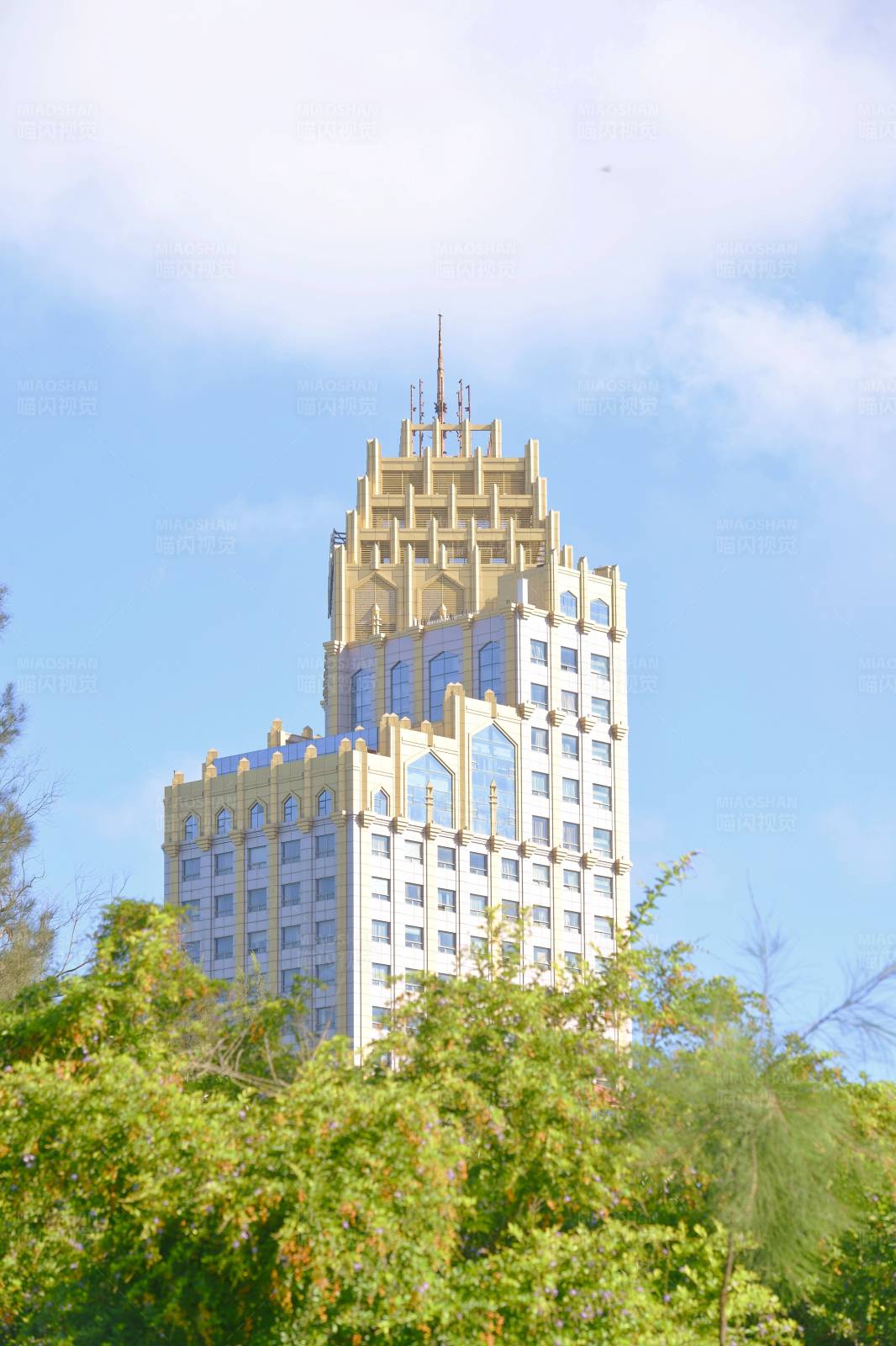 城市綠洲中的建筑