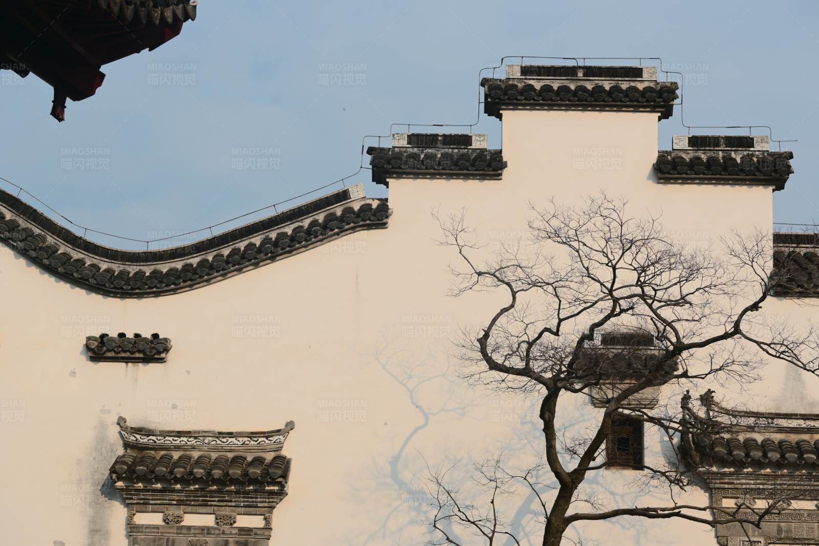 古城墻與枯樹
