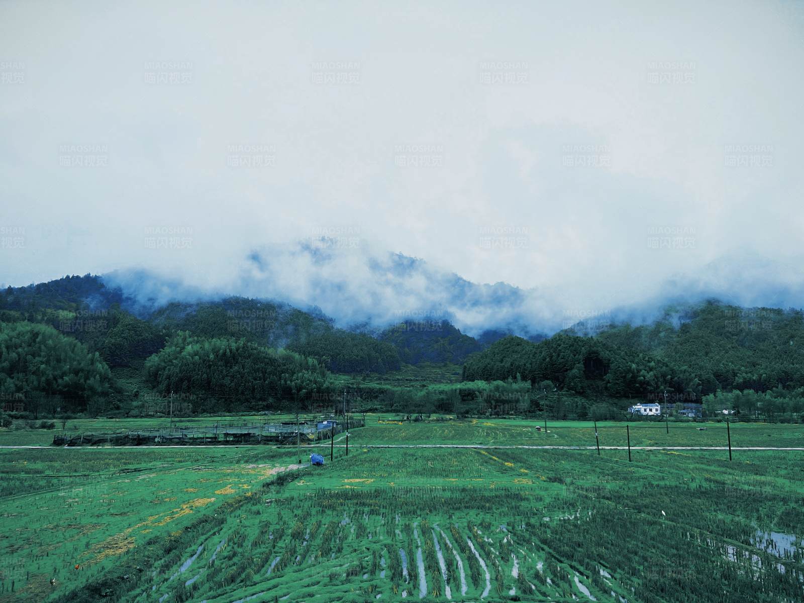 云霧山間田園風光