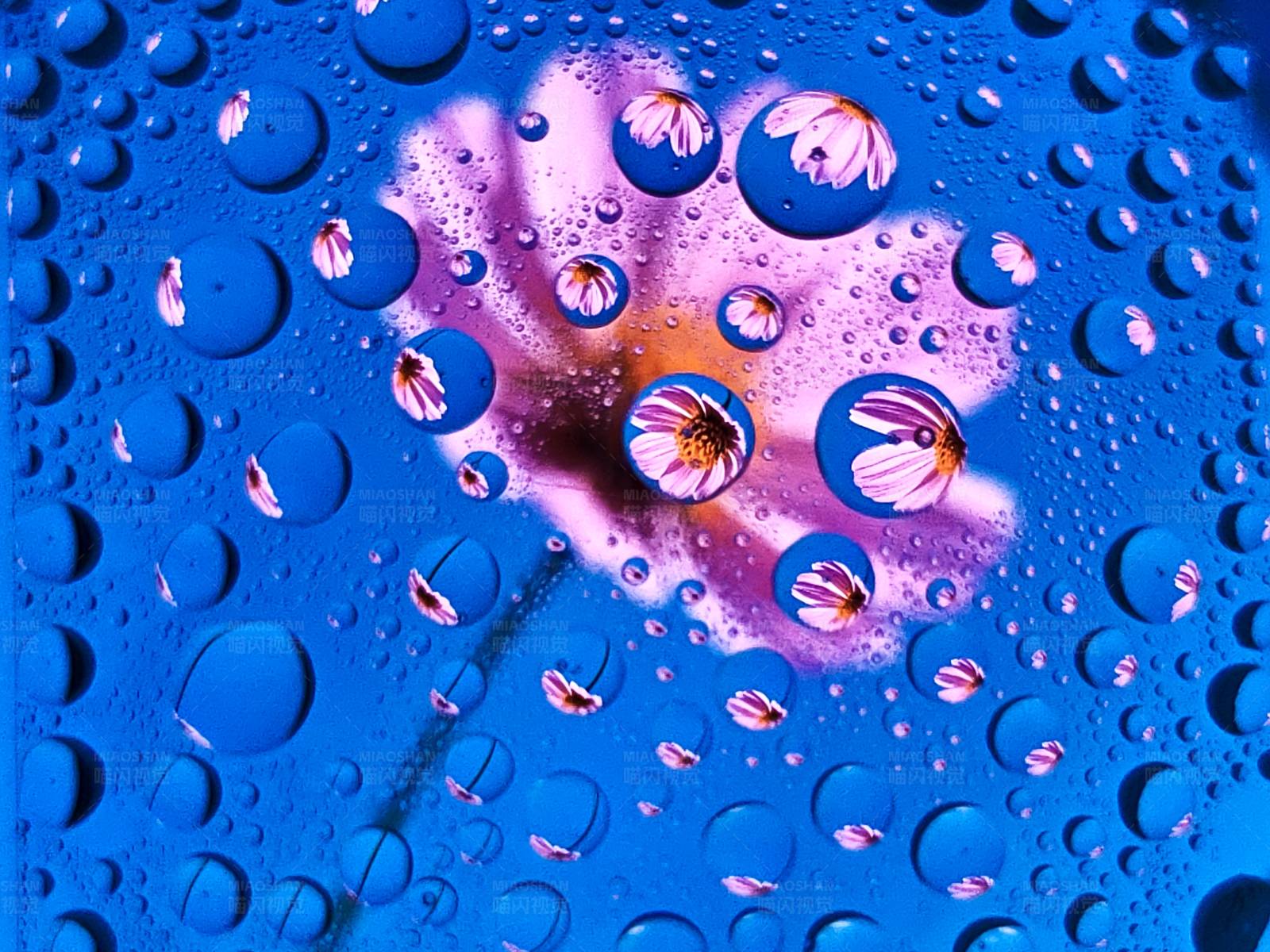 水滴中的花朵倒影