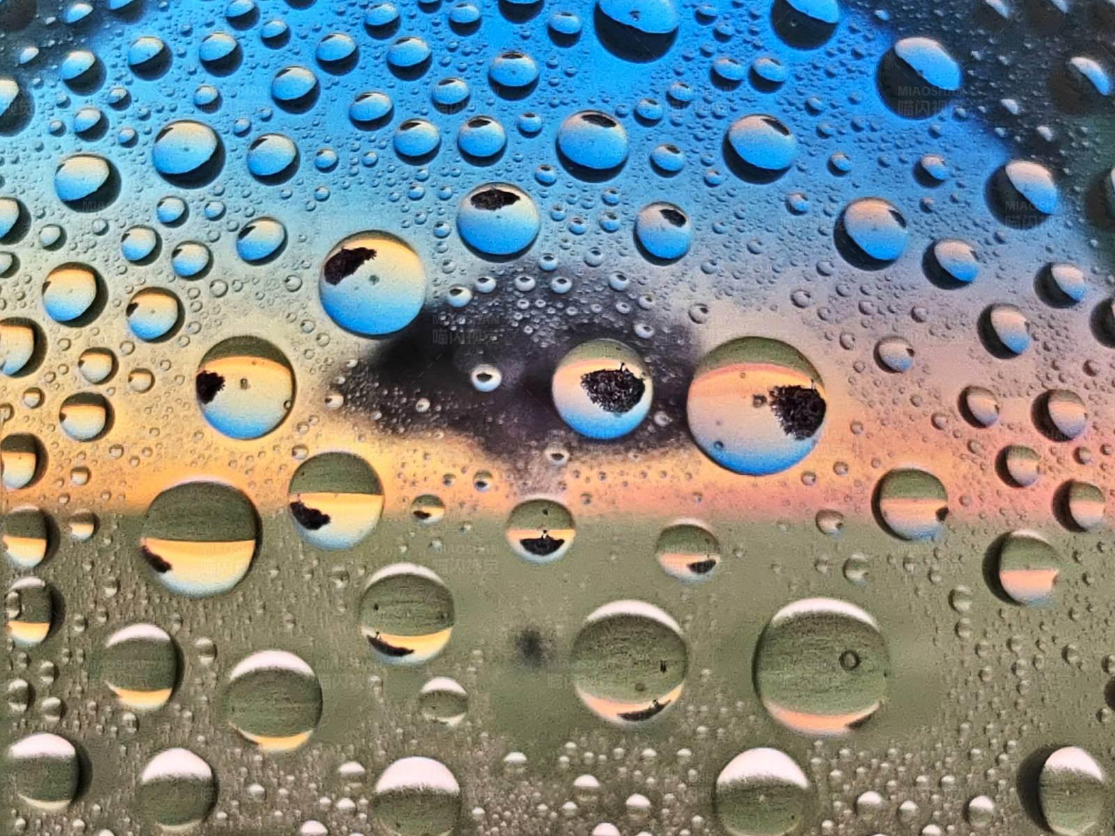雨后彩虹夢