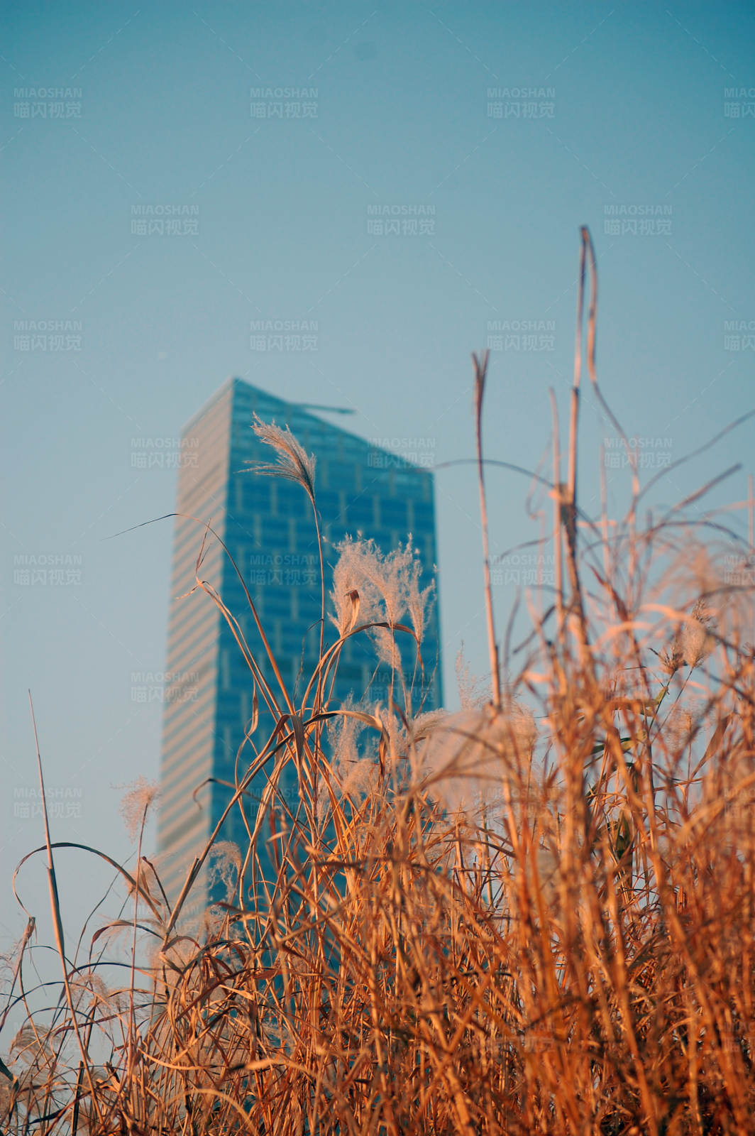 城市與自然的交匯點