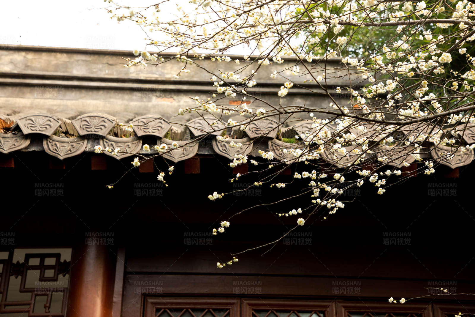 春花古屋檐