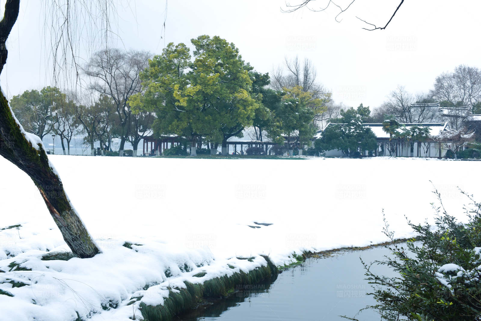 雪景中的寧靜湖泊