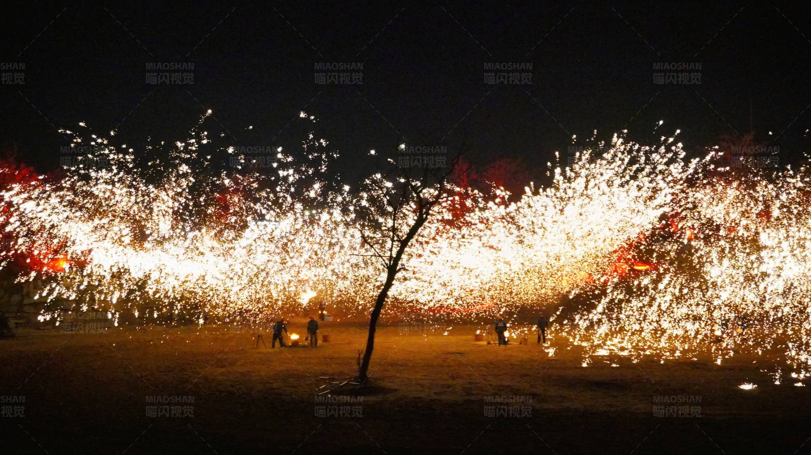 夜空下的煙花樹