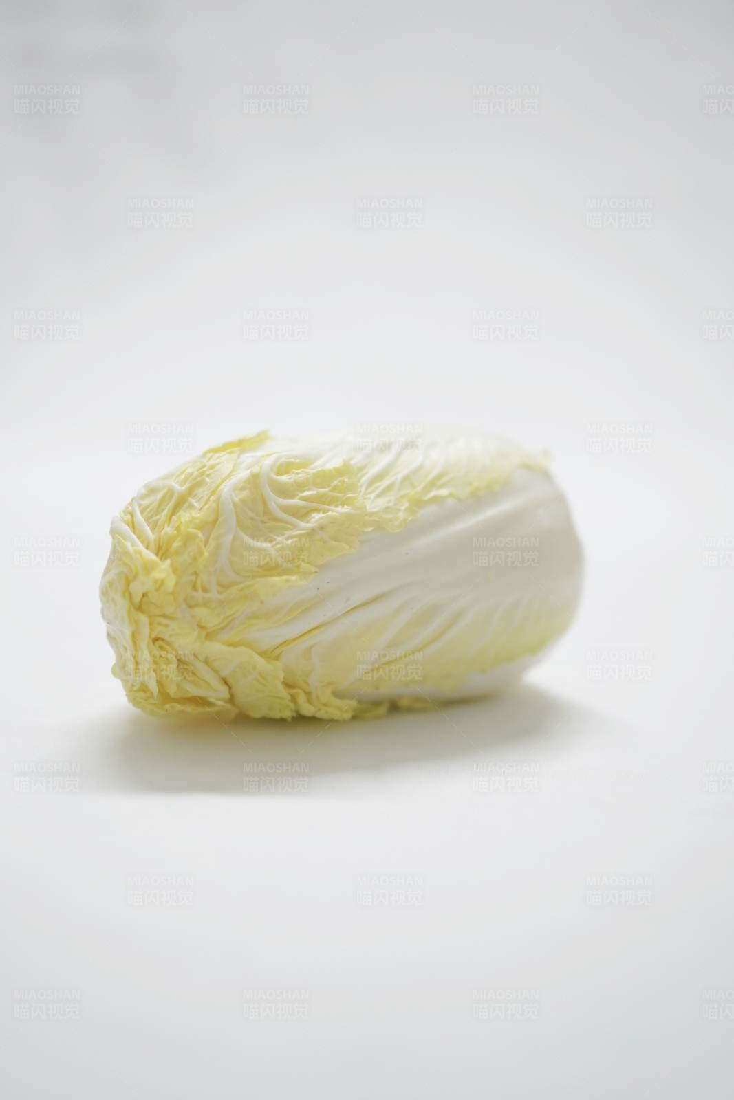白菜的特寫
