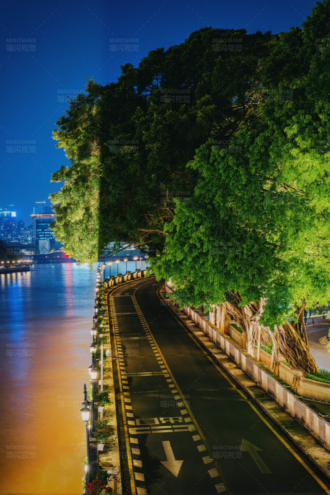 夜色江邊路