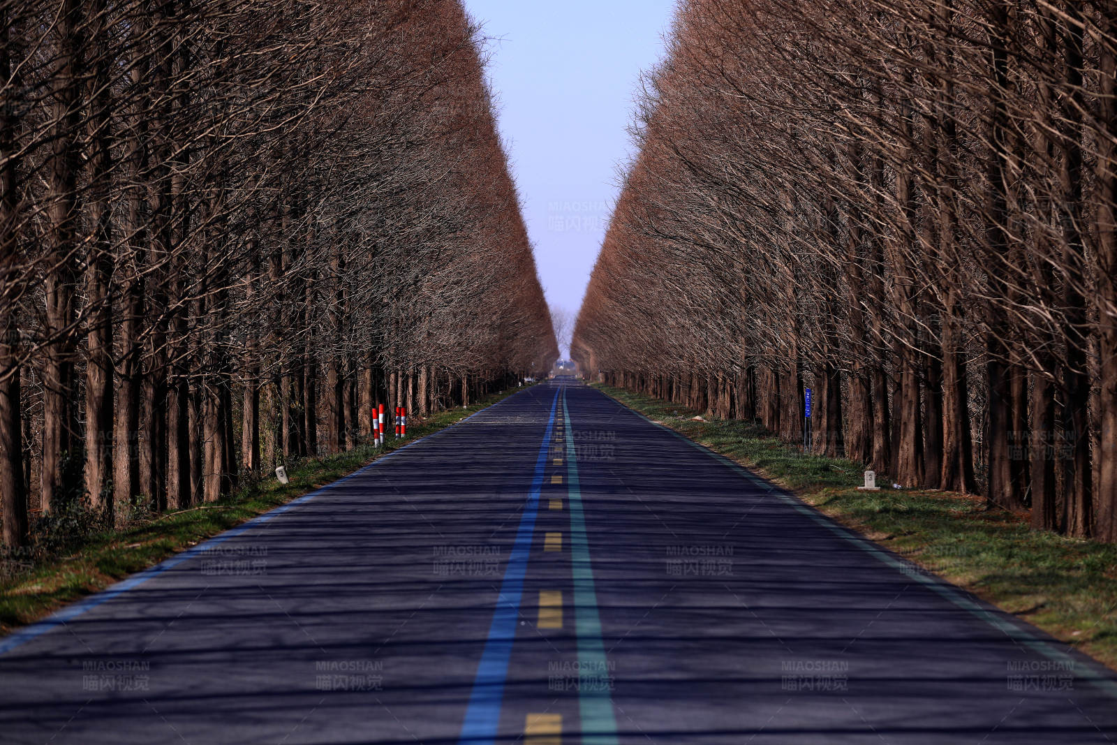 林蔭大道