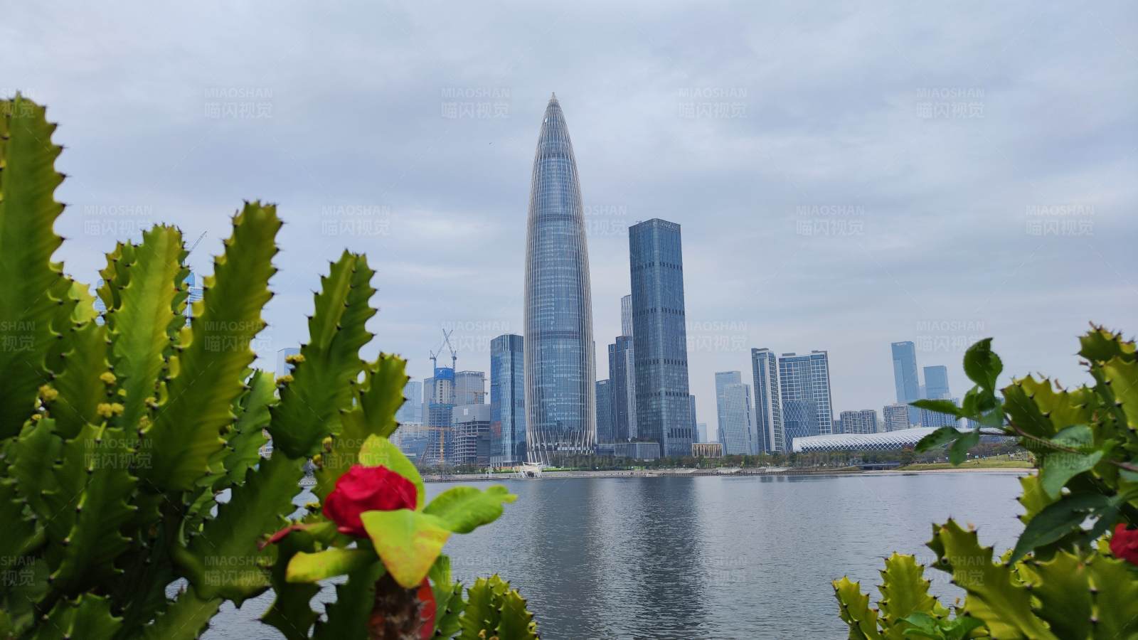 深圳湾畔摩天大楼