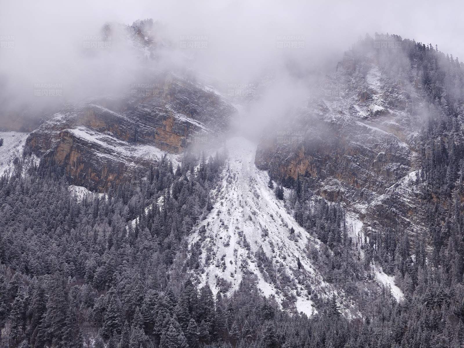 九寨溝雪霧繚繞的山林