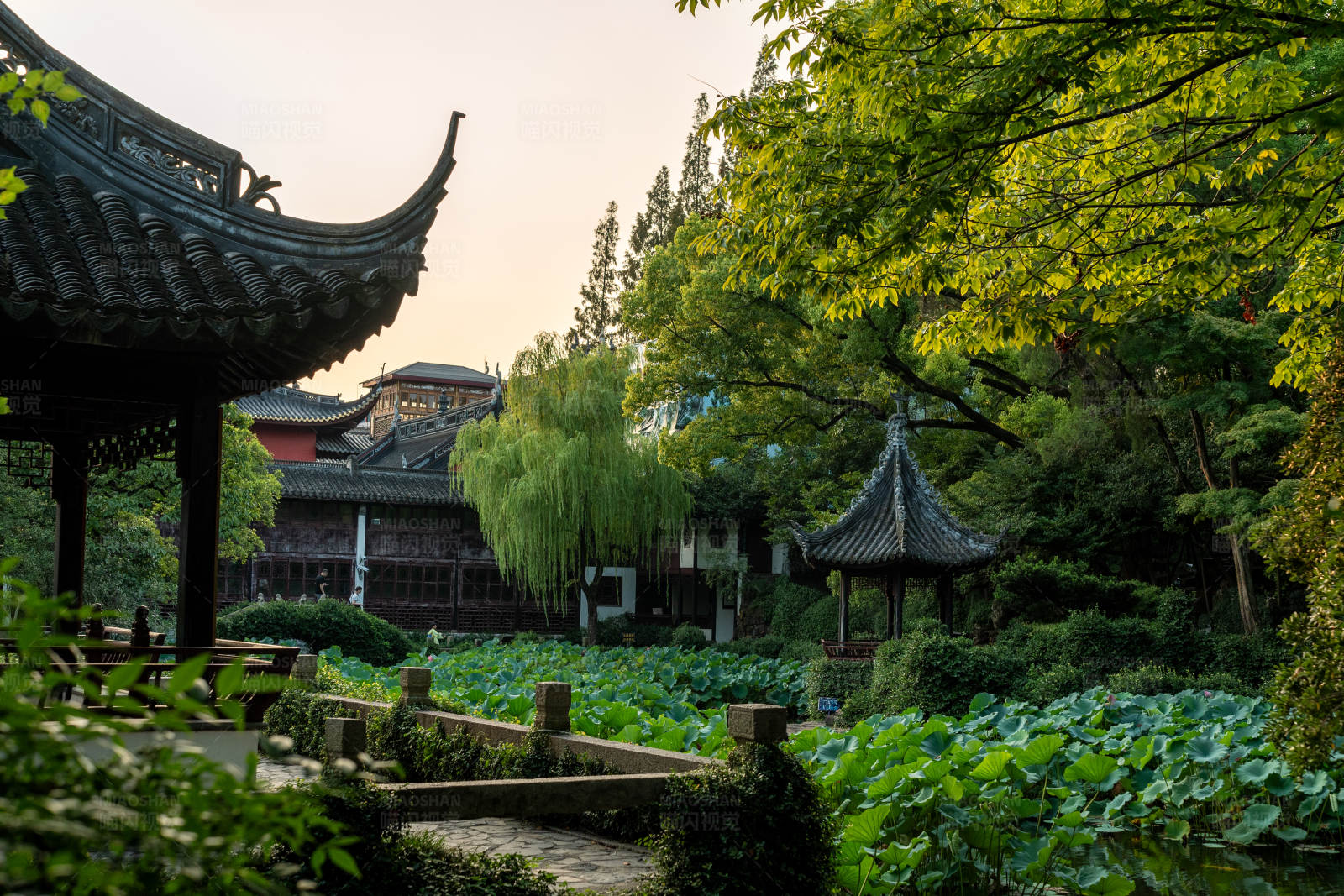 古典園林的寧靜之美