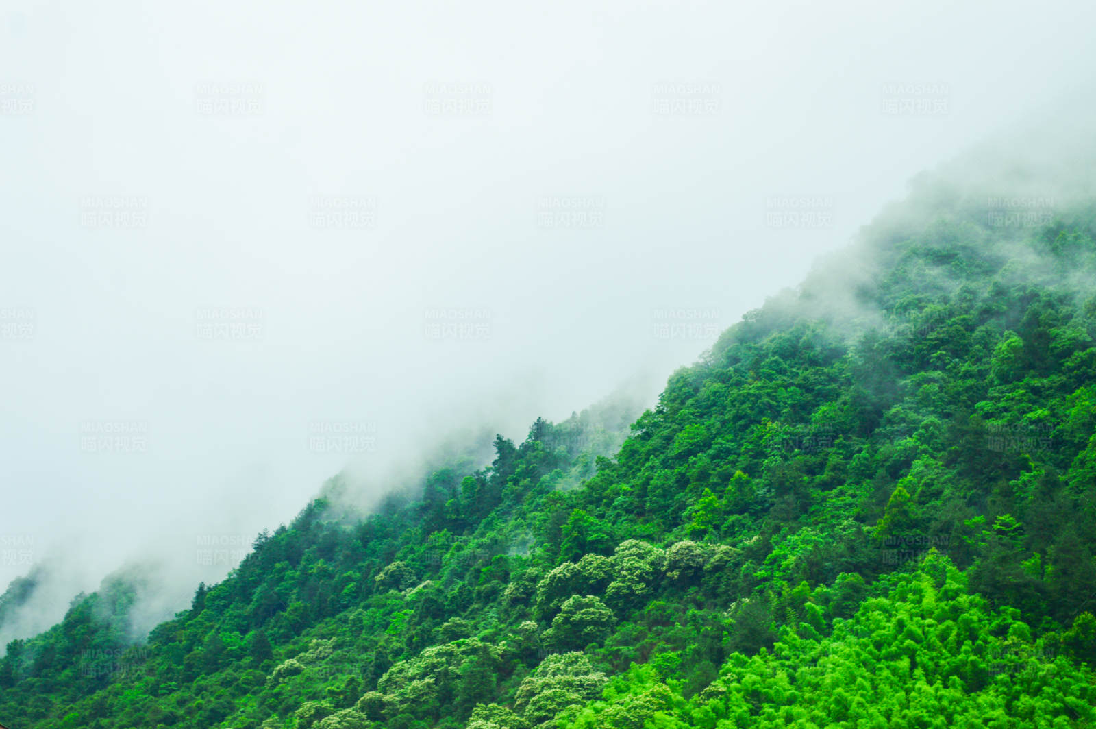 云霧繚繞的青山