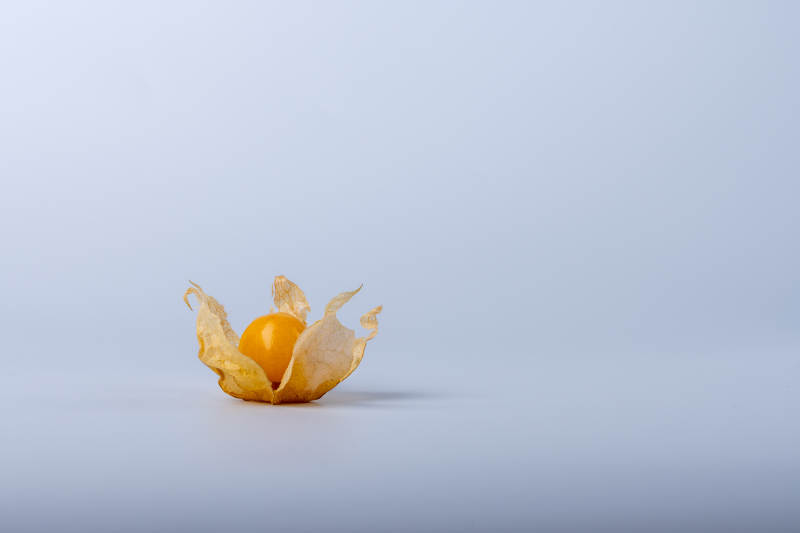 孤零零的灯笼果