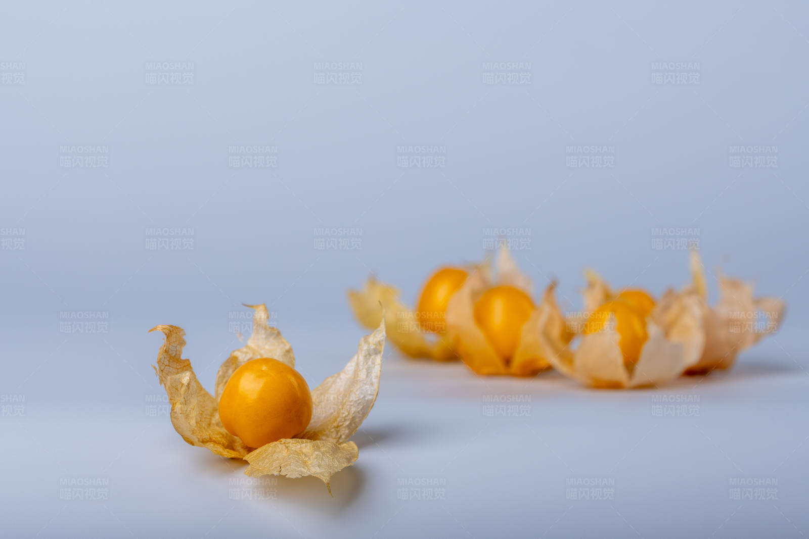 金黄色的灯笼果