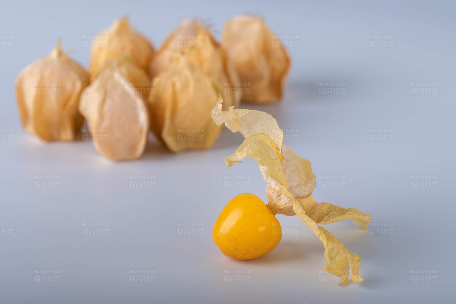 金黃色的姑娘果