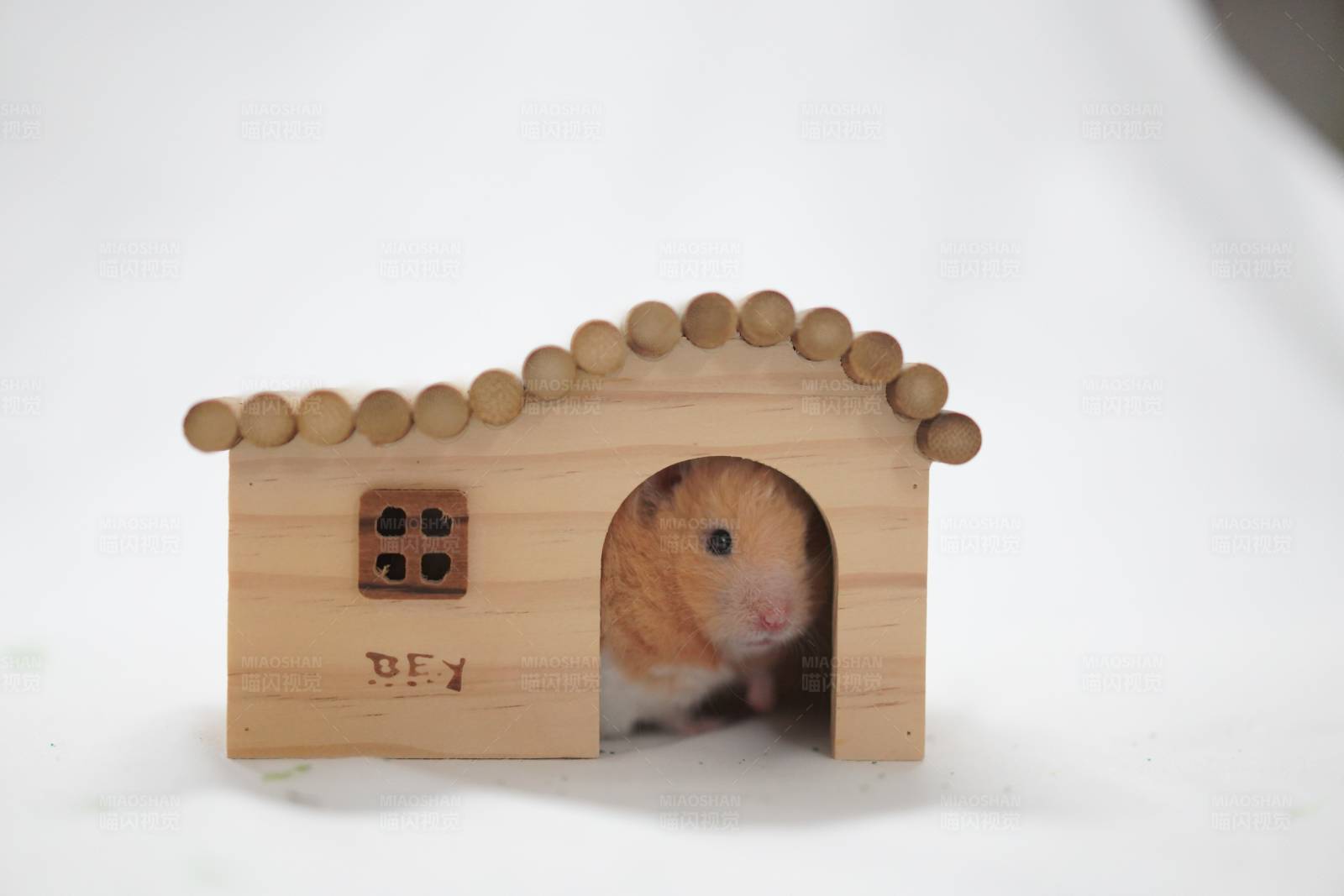 小鼠木屋藏頭露尾
