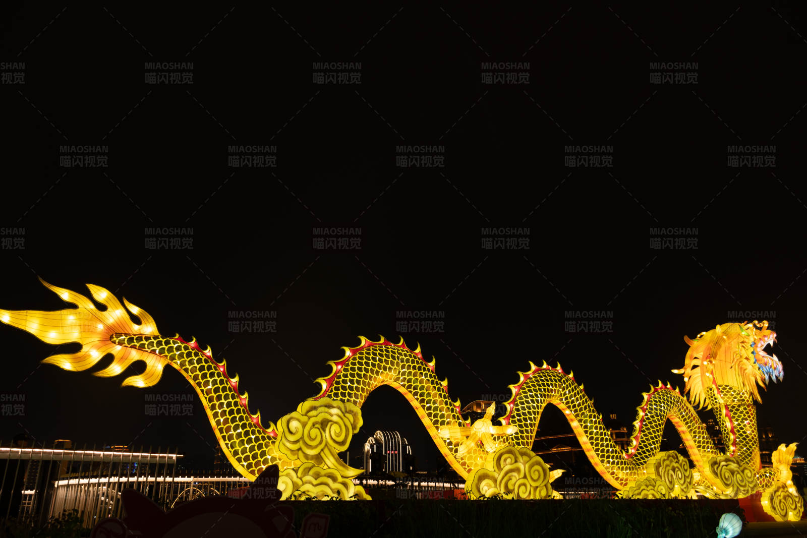 夜空下的金色巨龍燈展