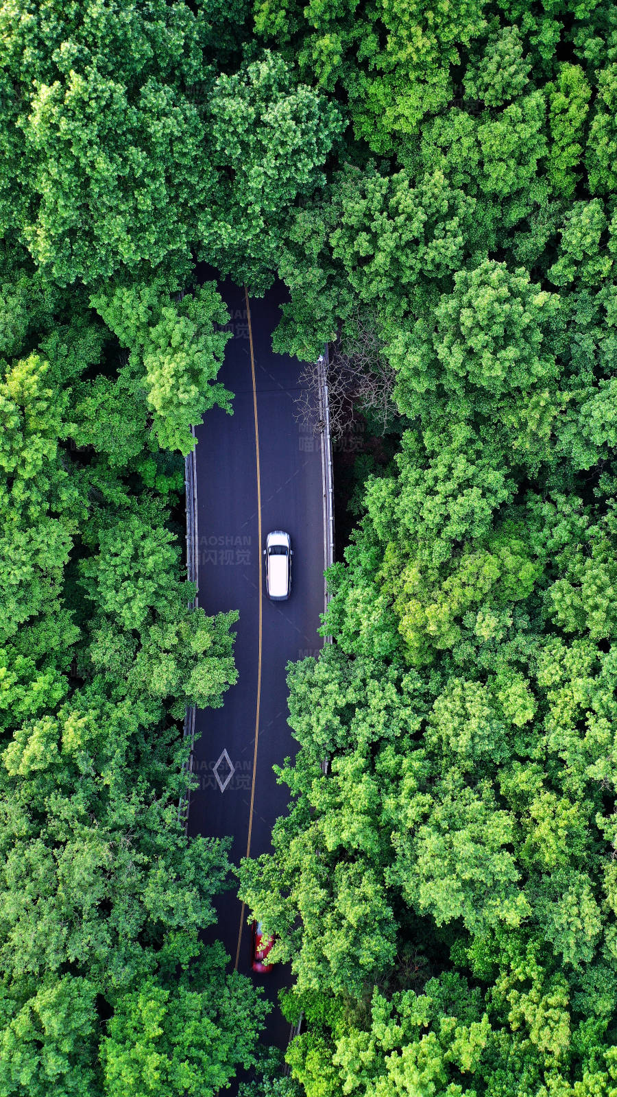 航拍森林中的一輛白色汽車的孤獨旅程
