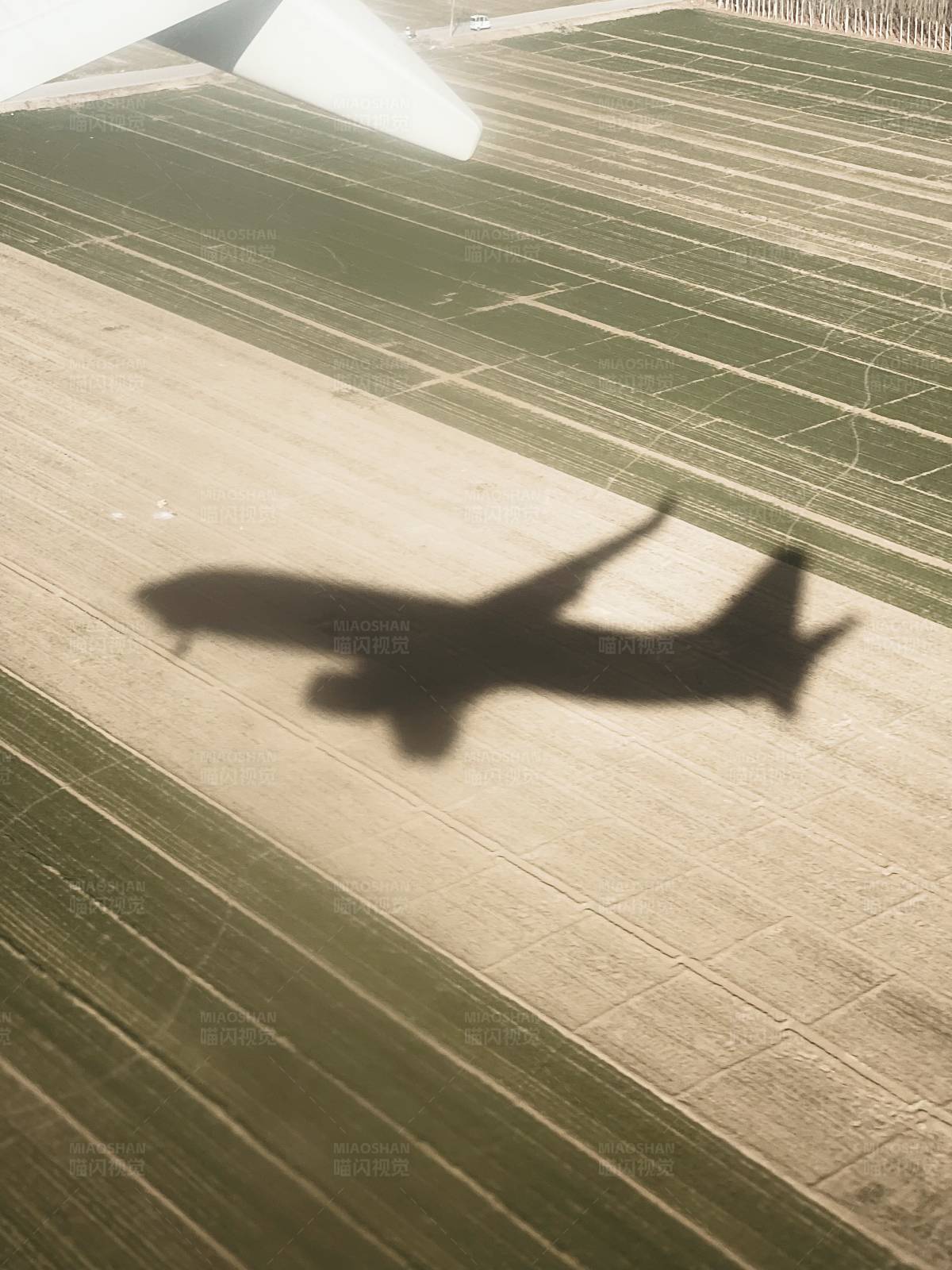 飛機陰影