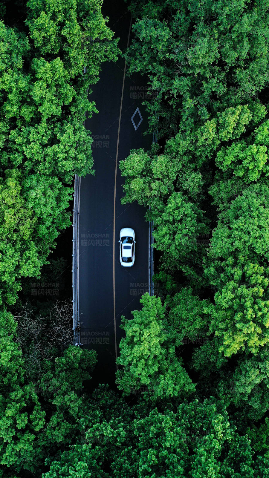 航拍森林公路上的一輛白色汽車