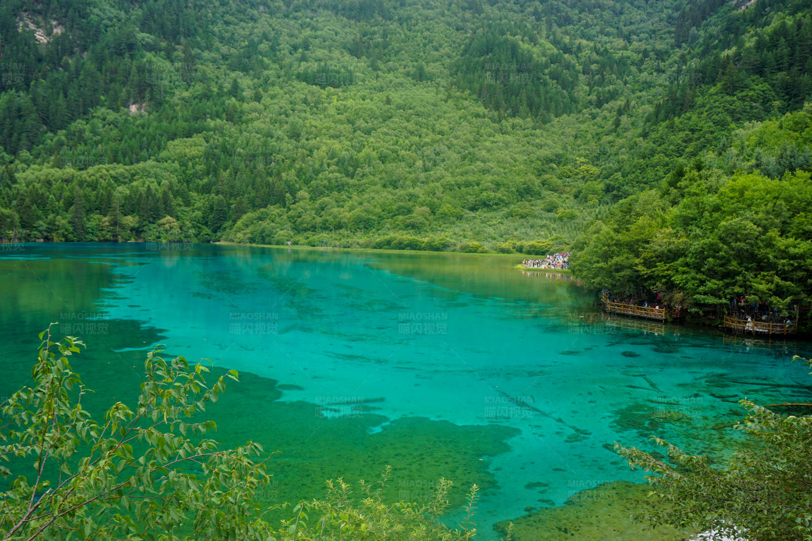 翡翠湖與青山