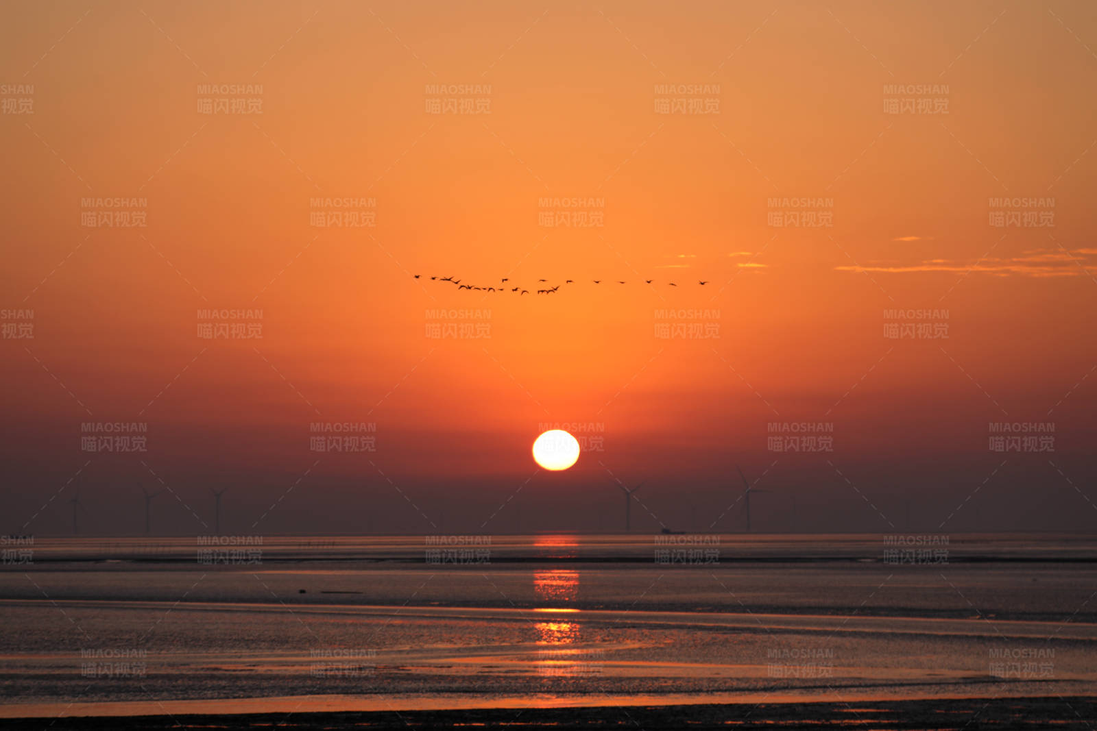 日出飛鳥 海上歸途
