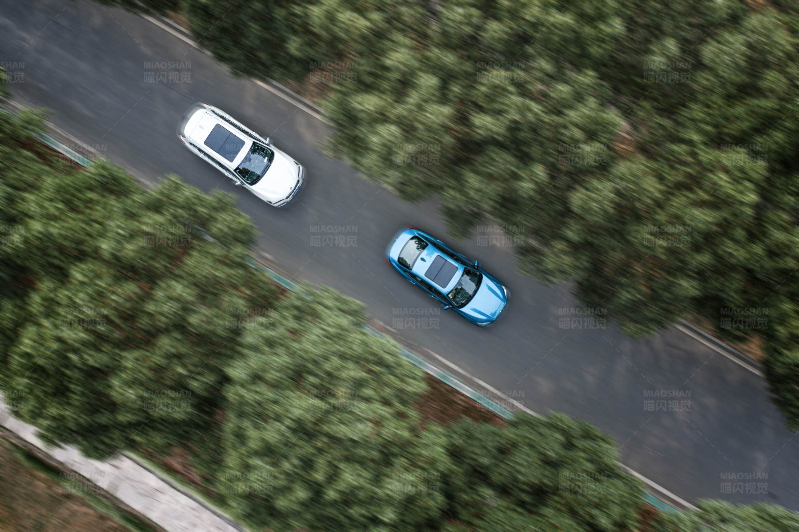 兩車林間路